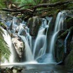 Dandenong Ranges Olinda Falls near Melbourne Australia